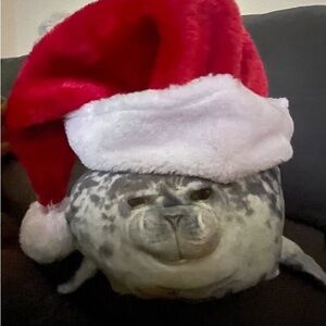 Meet your Posher, Cyeki8o